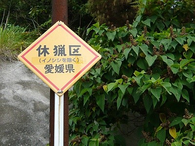 f:id:cess:20090914185750j:image