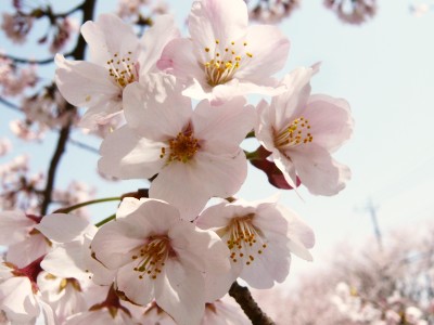 20100408192058