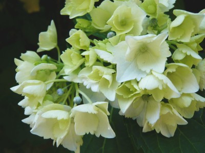 20100613130946