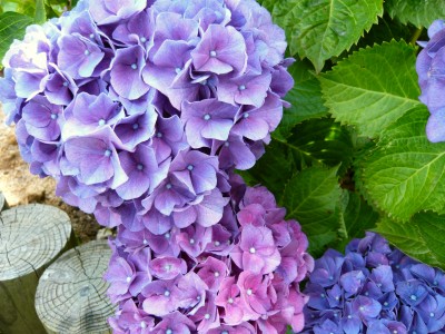20100617204319