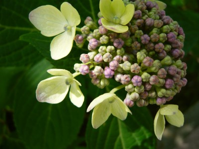 20100621204754