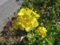 20110325150349
