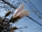 20110325150351