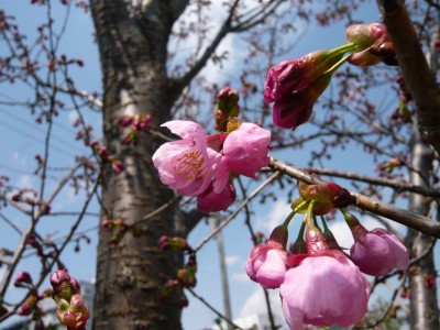 20110325150356