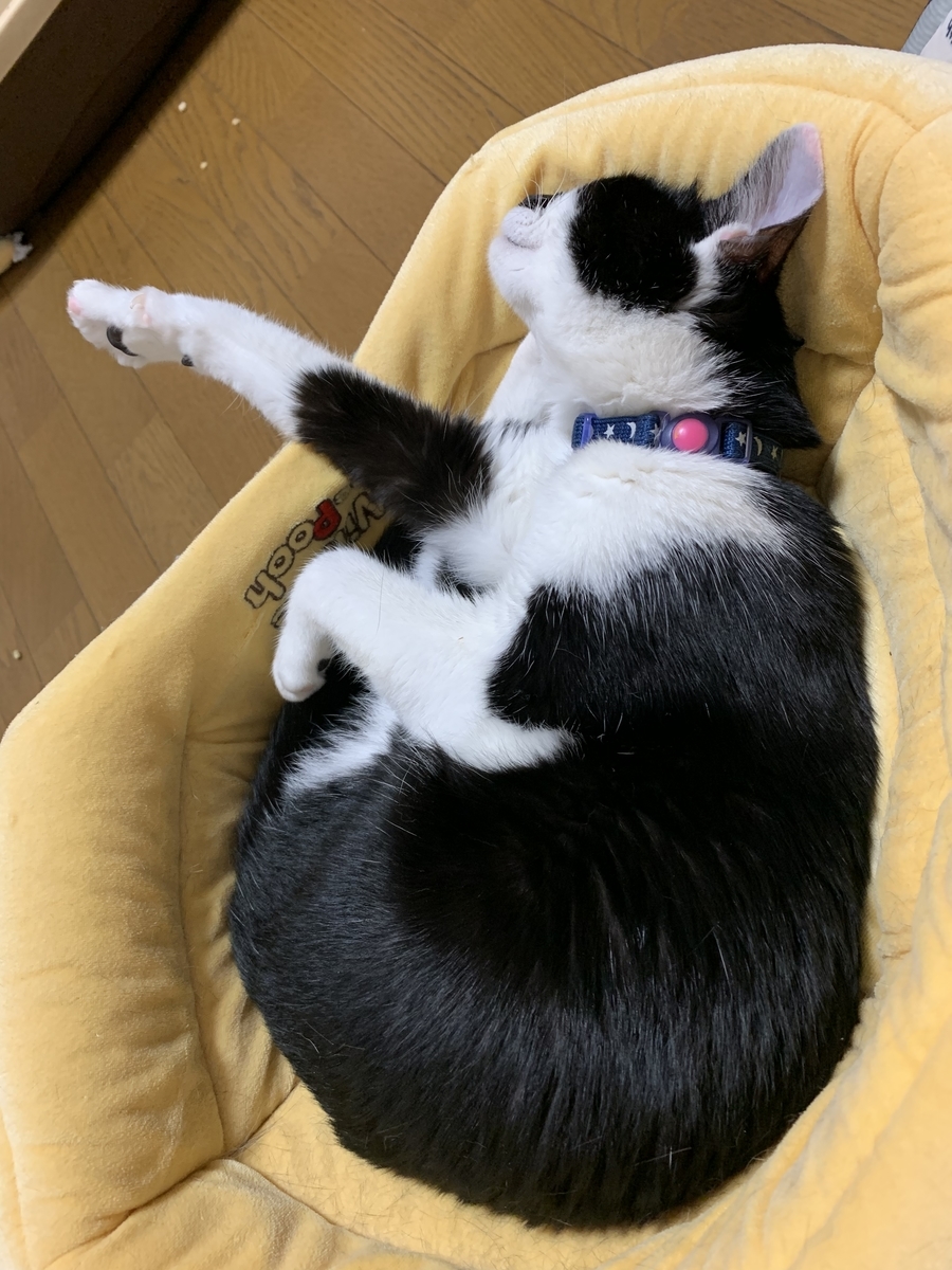 f:id:cestgenant22:20190611134130j:plain