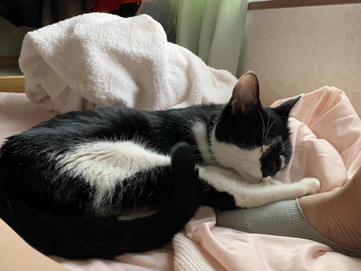 f:id:cestgenant22:20190615003637j:plain