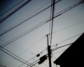 [VQ1015 ENTRY][電線]