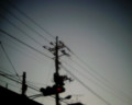 [VQ1015 ENTRY][電線]