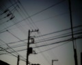 [VQ1015 ENTRY][電線]