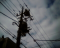 [VQ1015 ENTRY][電線]