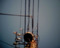 [VQ1015 ENTRY][電線]