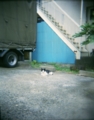 [HOLGA]