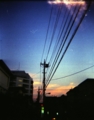 [HOLGA]