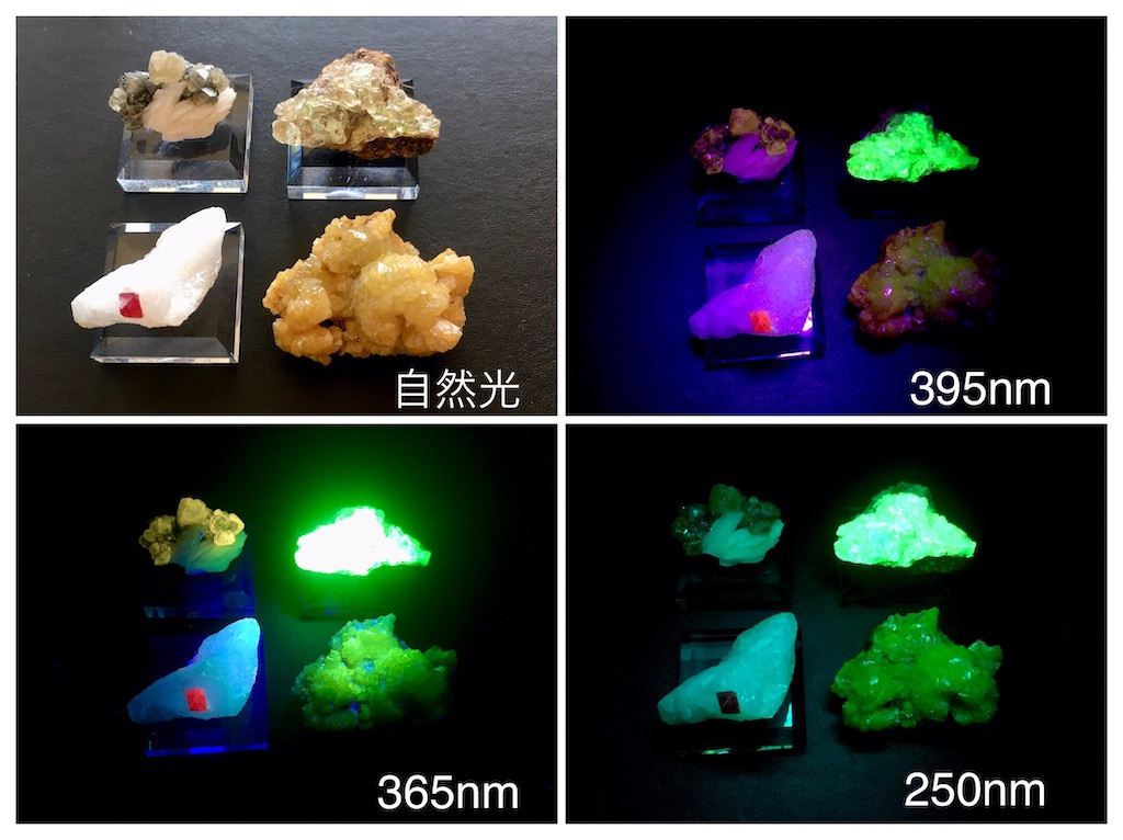 ジプサム　燐光　鉱物セット 個数を確認下さい。個数に応じて、値段が変動します。 ジプサム 燐光 鉱物セット 個数を確認下さい。個数に応じて、値段が変動し