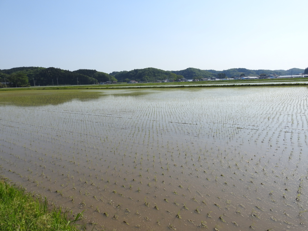 f:id:cff_japan:20170525154632j:plain f:id:cff_japan:20170525154632j:plain