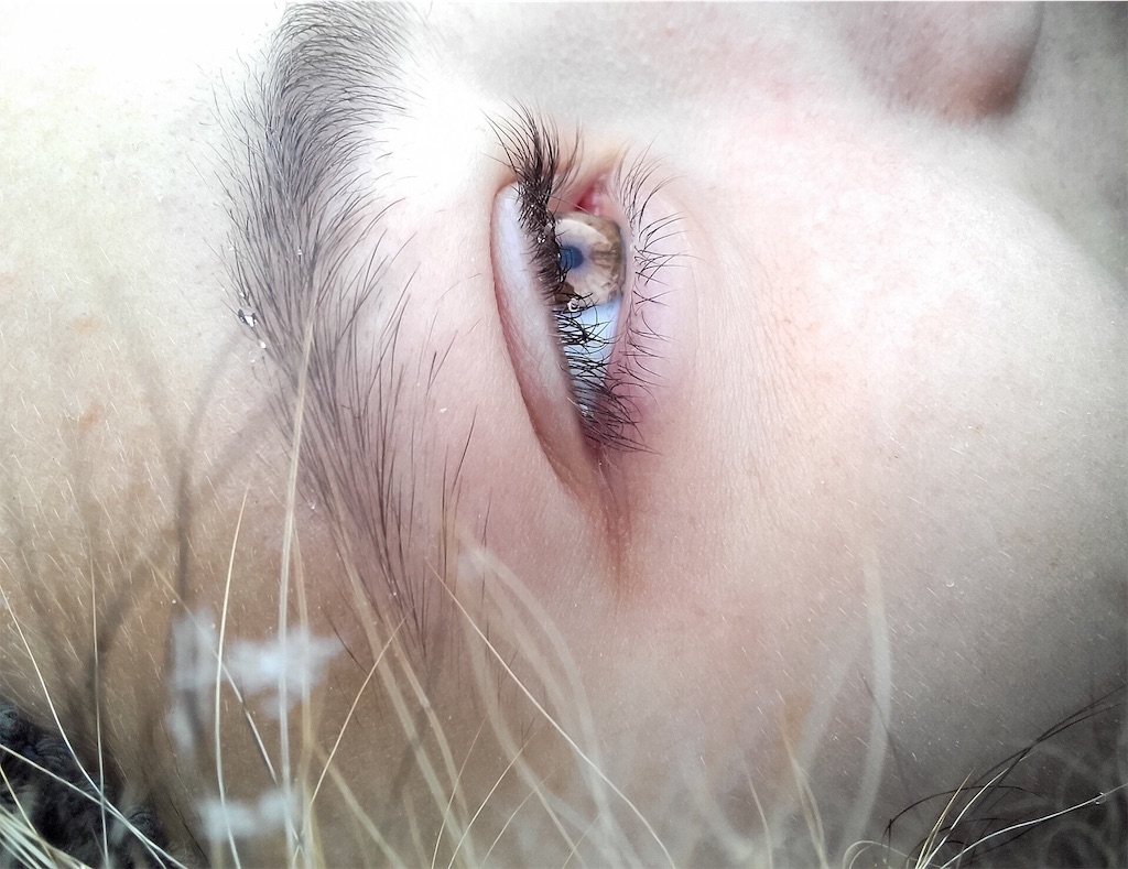 f:id:cgef:20190115231328j:image f:id:cgef:20190115231328j:image