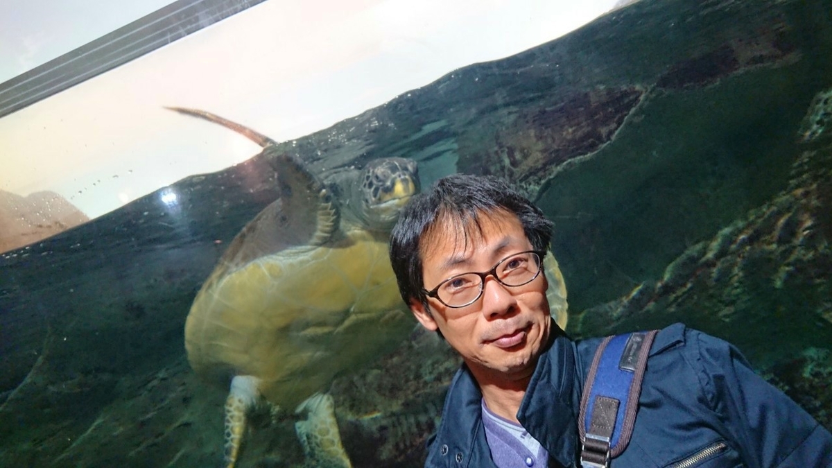 f:id:ch-imai:20190506232105j:plain f:id:ch-imai:20190506232105j:plain