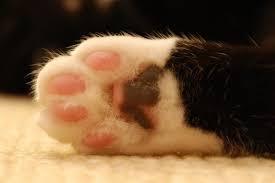 f:id:ch-imai:20201223135645j:plain
