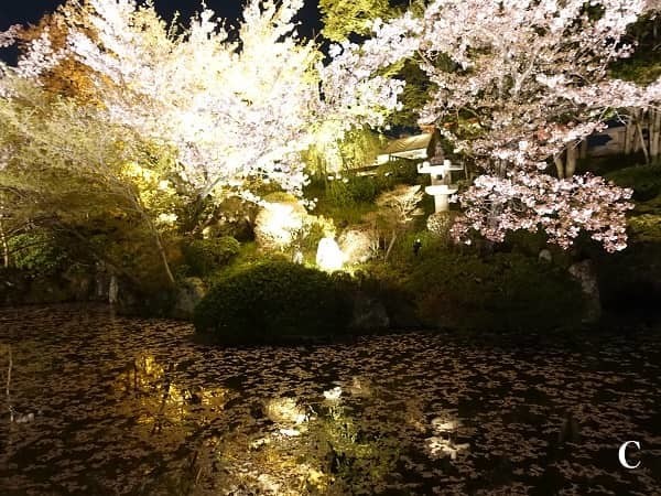 国内旅行 国内旅行