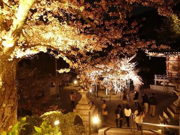 国内旅行 国内旅行