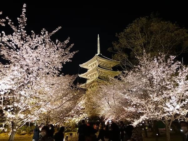 国内旅行 国内旅行