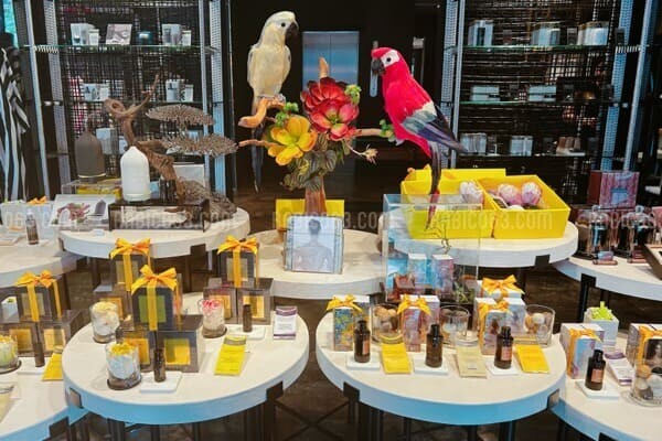 タイ 高級コスメ THANN（タン）日本 価格 安い