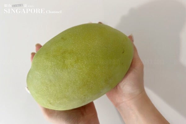 日本では幻！？の高級フルーツ「キーツマンゴー 」がシンガポールで