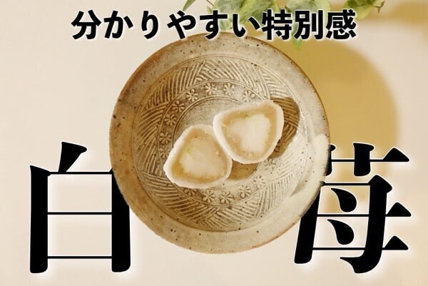 いちご大福と茶菓のお店 あか おすすめレビュー 白いちご