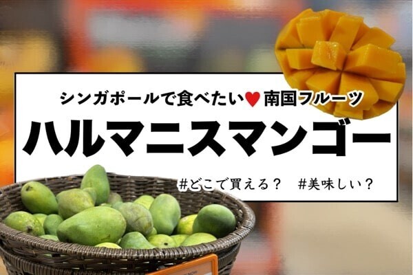 他のマンゴーとは一味違う！ハルマニスマンゴー（Harumanis Mango）っ