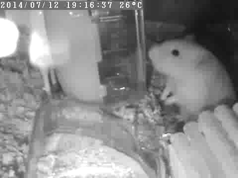 f:id:ch3cooh393:20140712224356j:plain