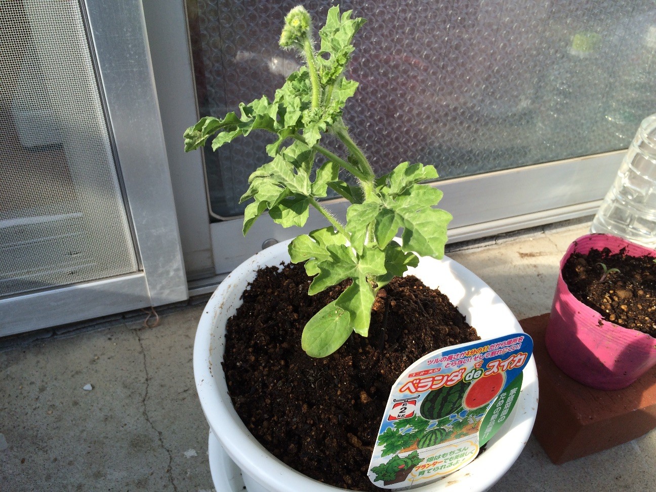 f:id:ch3cooh393:20150429161426j:image