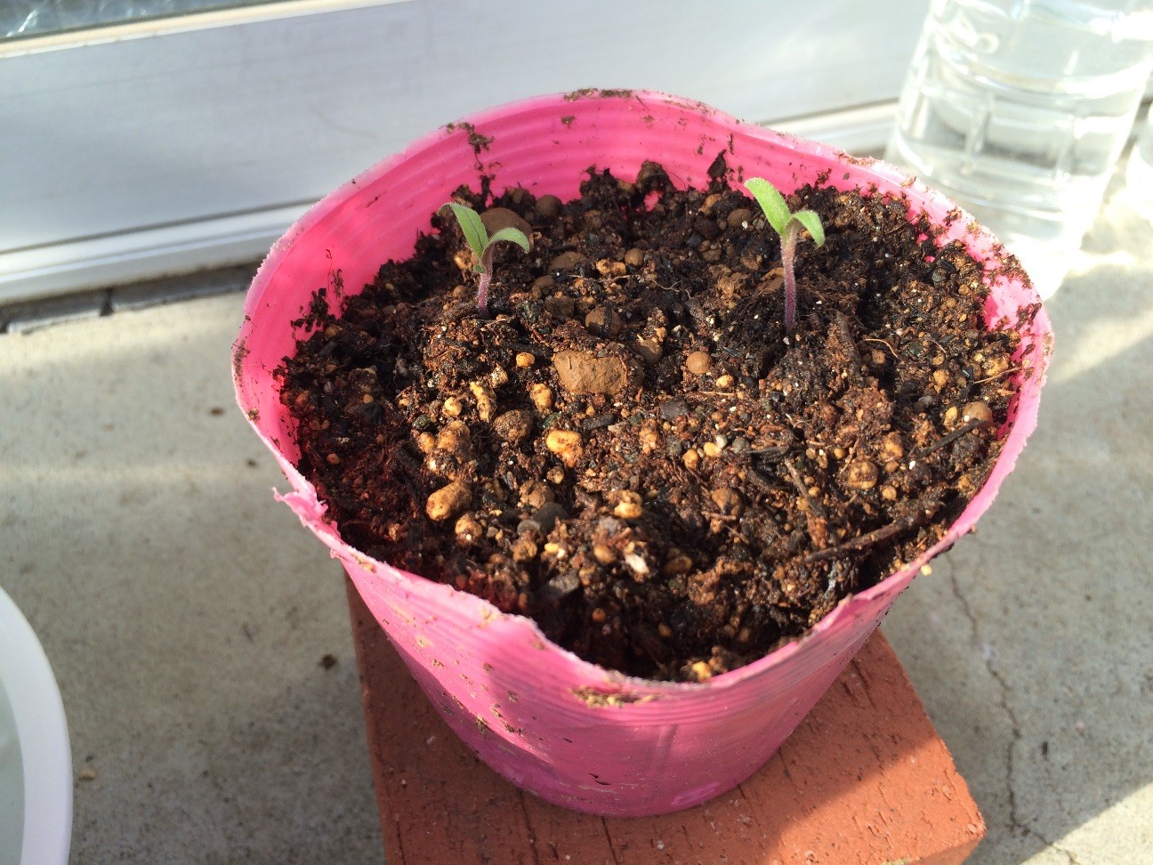 f:id:ch3cooh393:20150429161437j:image