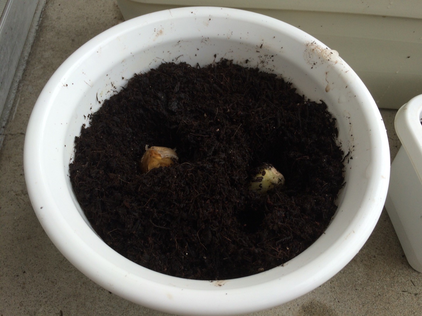 f:id:ch3cooh393:20150906120758j:image