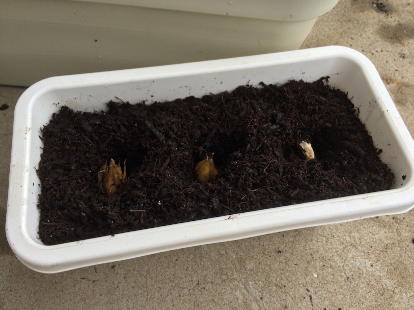 f:id:ch3cooh393:20150906120805j:image