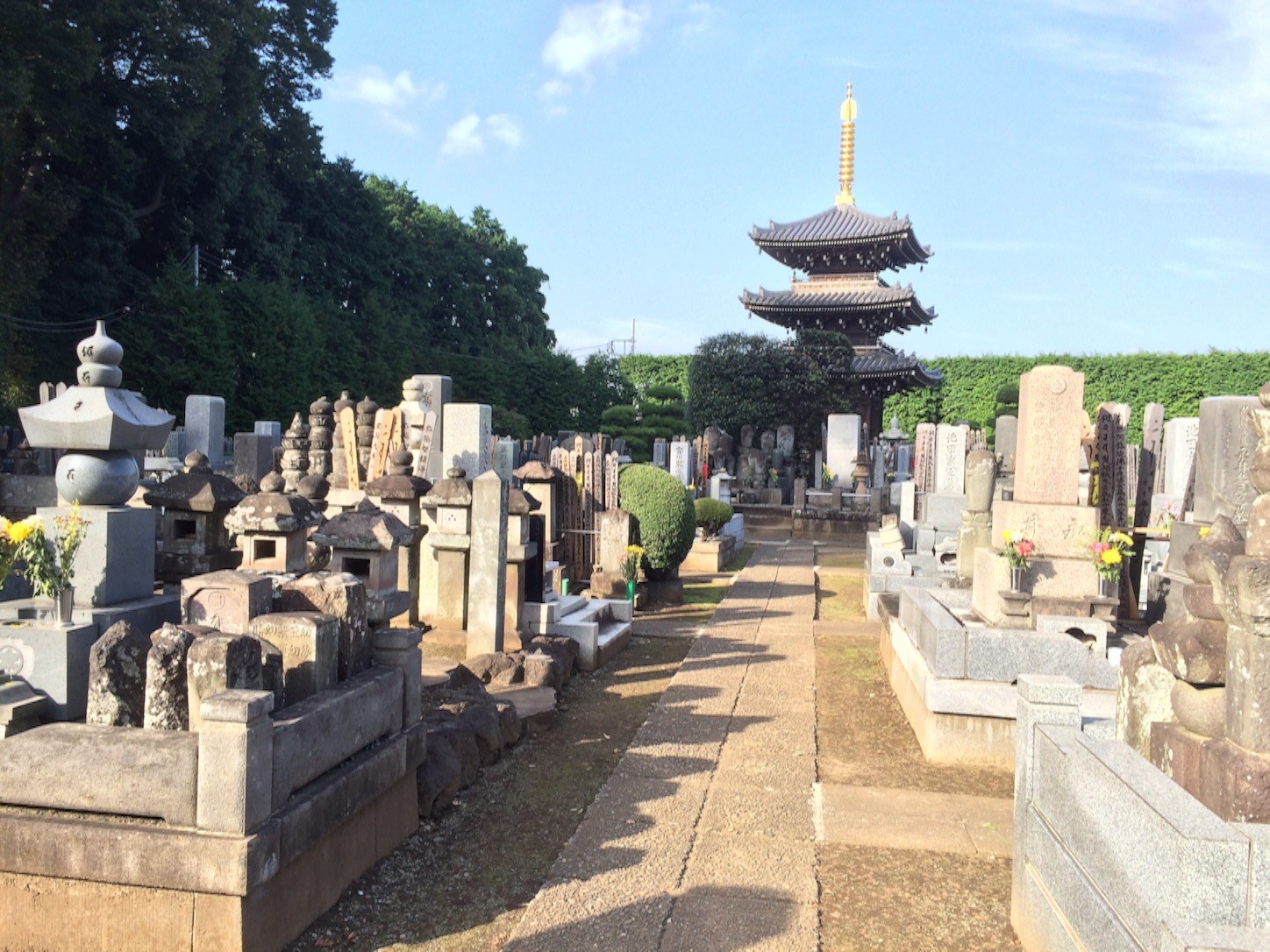 f:id:ch3cooh393:20151003161412j:image f:id:ch3cooh393:20151003161412j:image