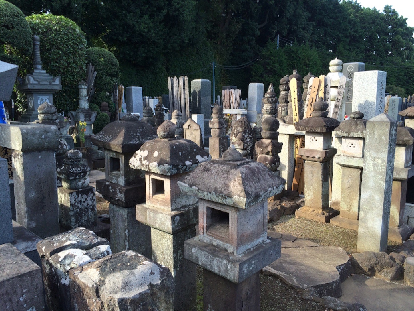 f:id:ch3cooh393:20151003161437j:image f:id:ch3cooh393:20151003161437j:image