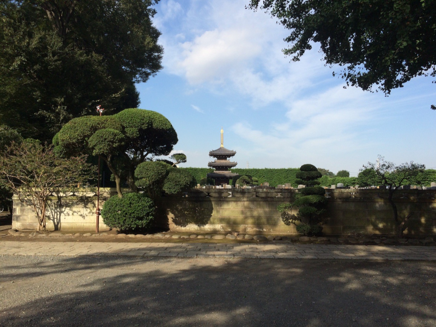 f:id:ch3cooh393:20151003161859j:image f:id:ch3cooh393:20151003161859j:image