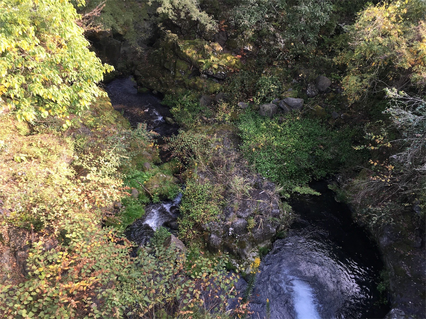 f:id:ch3cooh393:20151025095653j:image