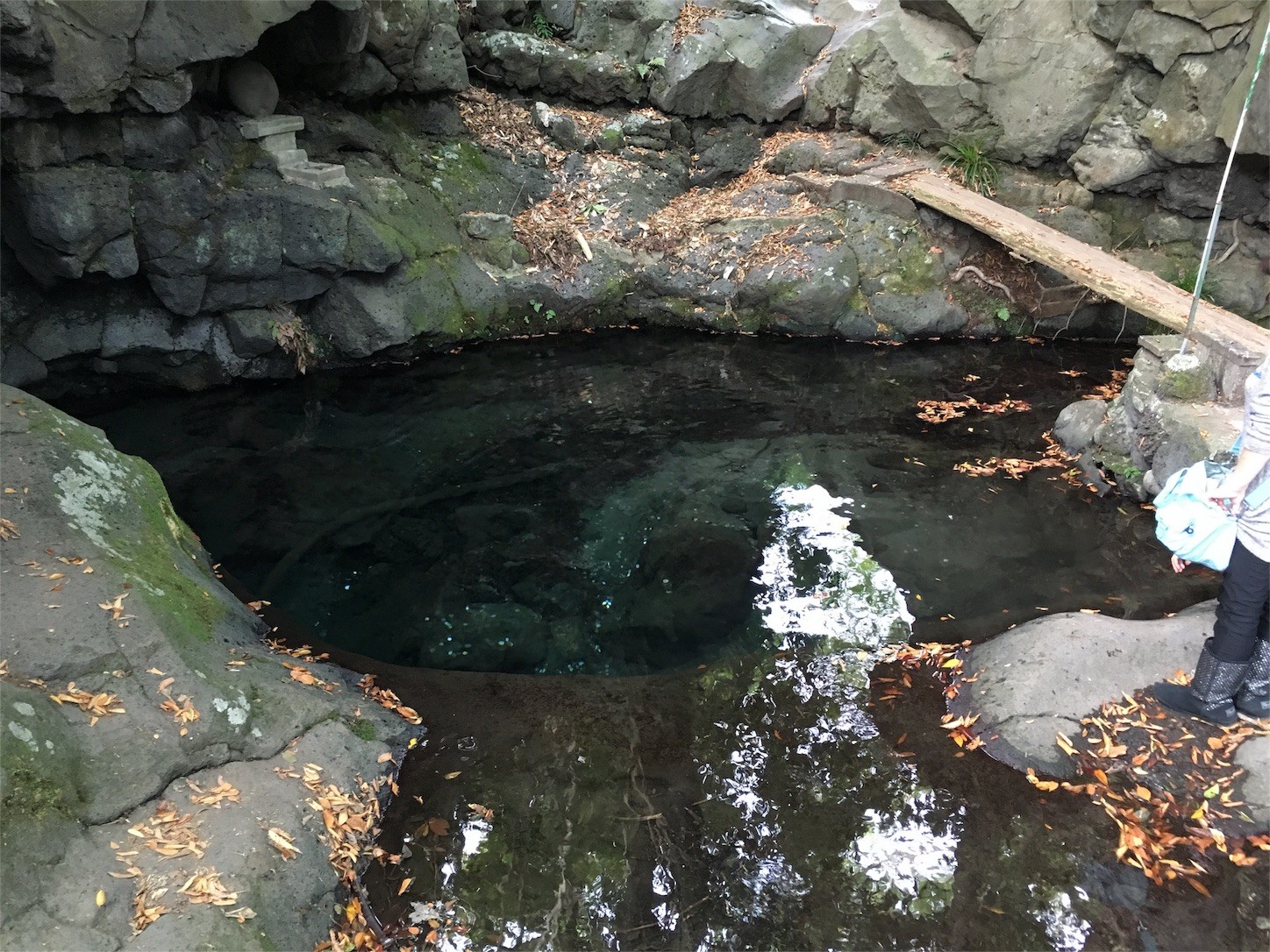 f:id:ch3cooh393:20151025100257j:image