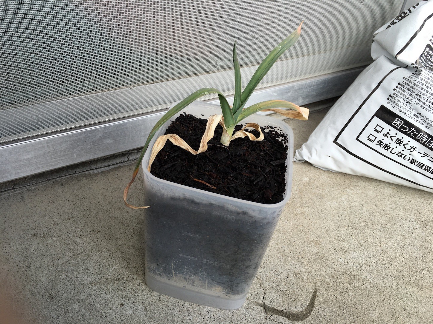 f:id:ch3cooh393:20160213133057j:image