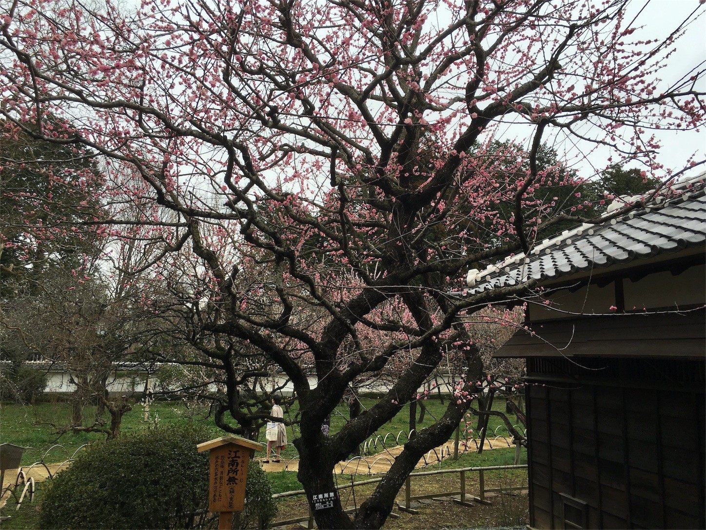 f:id:ch3cooh393:20160319141451j:image f:id:ch3cooh393:20160319141451j:image