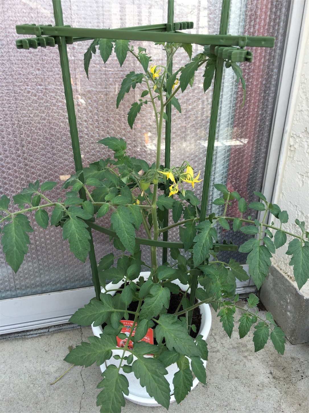 f:id:ch3cooh393:20160617101725j:image