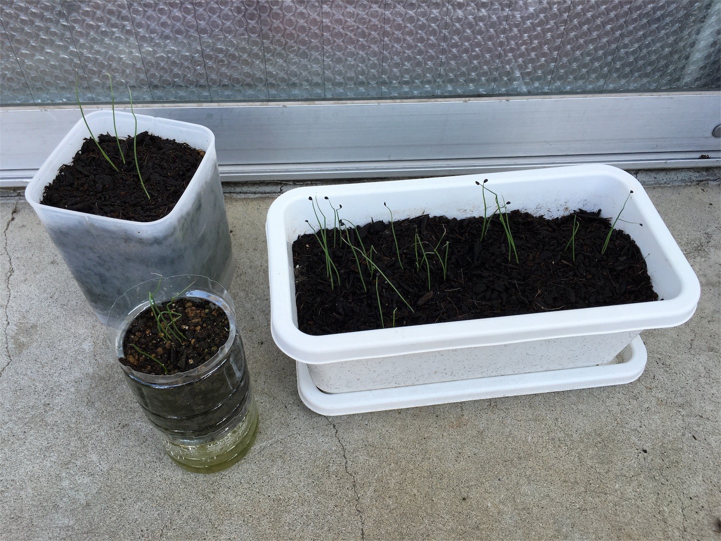 f:id:ch3cooh393:20160617101731j:image