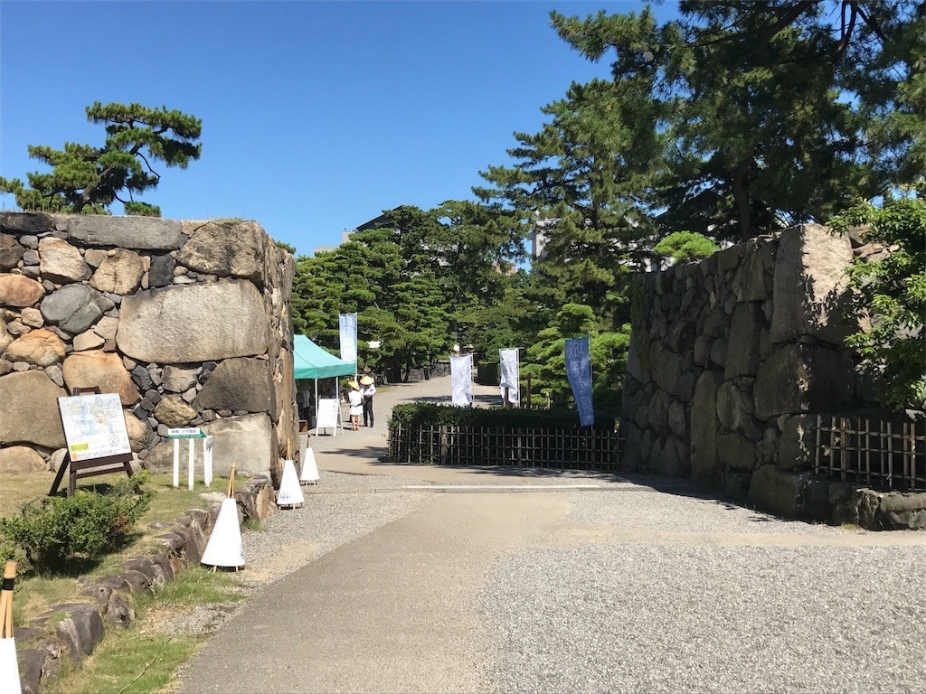 f:id:ch3cooh393:20170803143326j:image