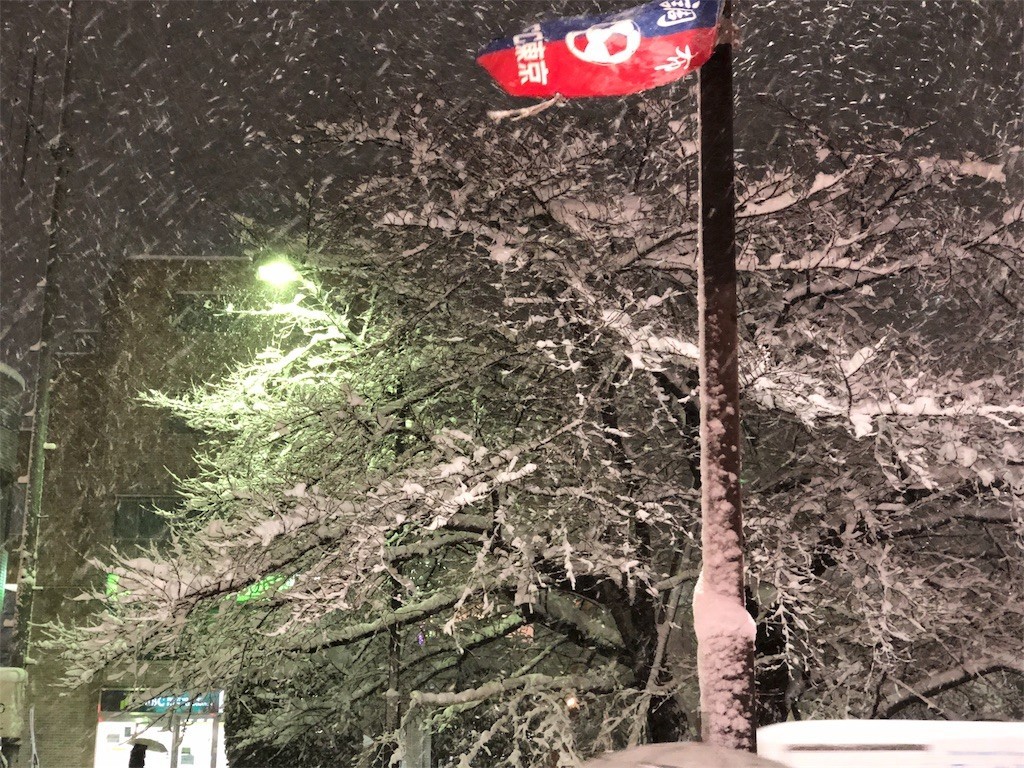 f:id:ch3cooh393:20180122200307j:image f:id:ch3cooh393:20180122200307j:image