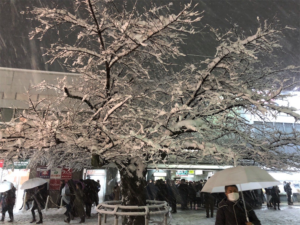 f:id:ch3cooh393:20180122200318j:image f:id:ch3cooh393:20180122200318j:image