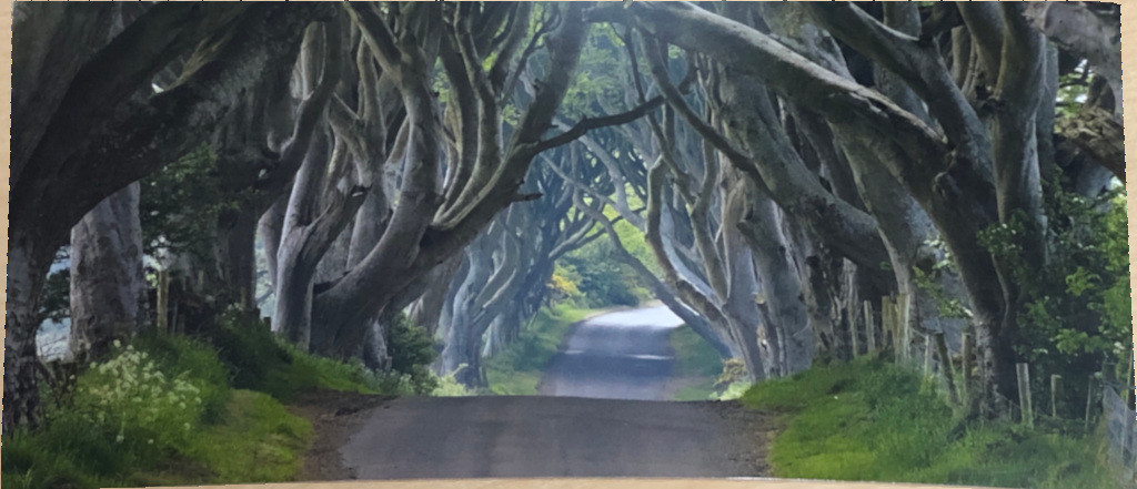 f:id:ch3cooh393:20190122100151j:plain