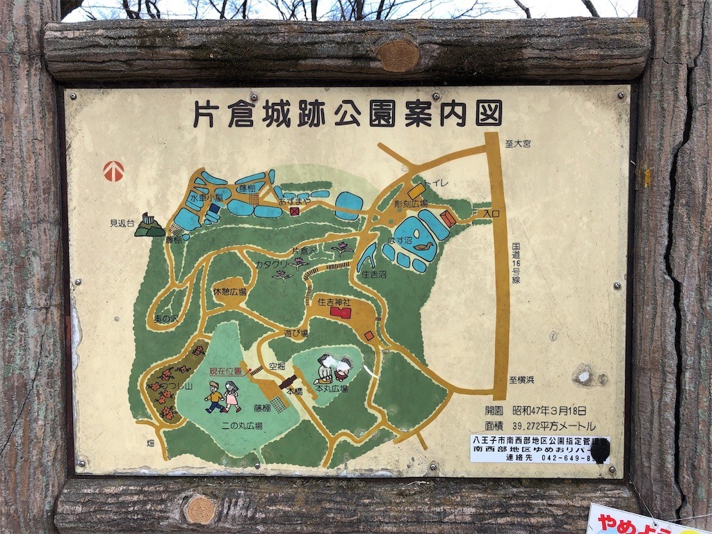 f:id:ch3cooh393:20190210190804j:image