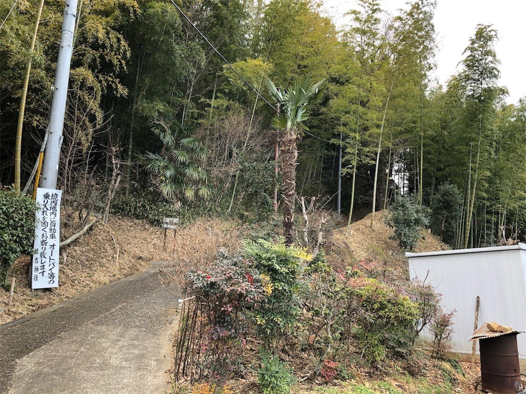 f:id:ch3cooh393:20190210204051j:image