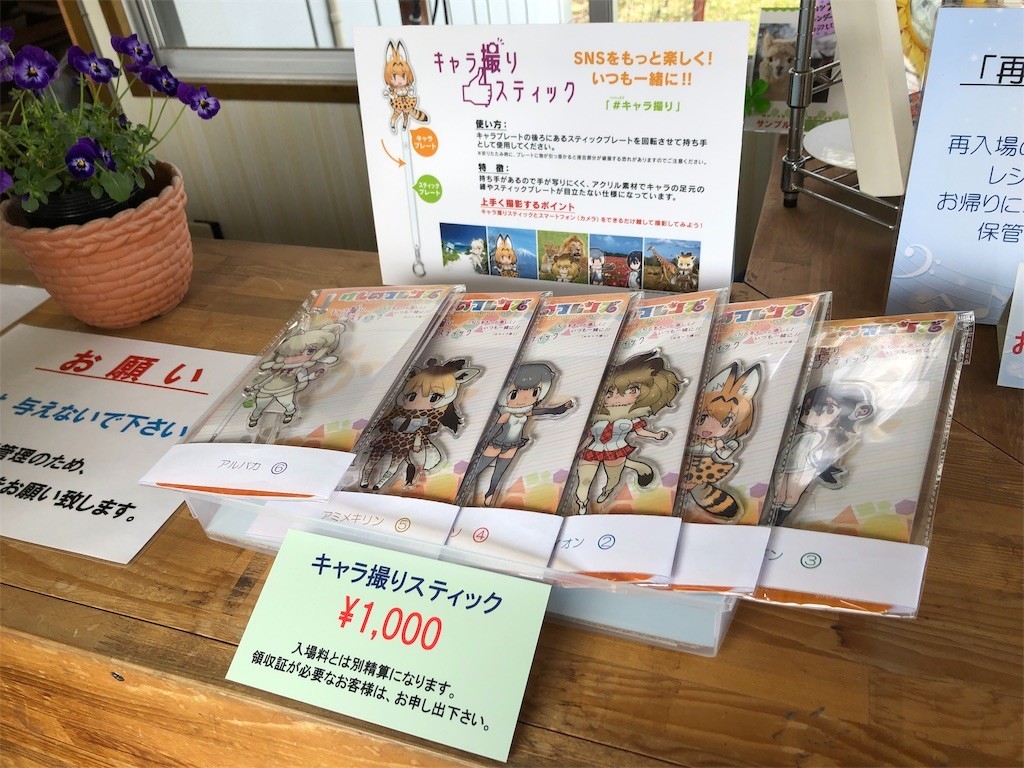 f:id:ch3cooh393:20190323223407j:image